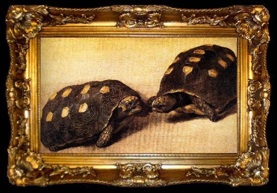 framed  Albert Eckhout Two dueling tortoises, ta009-2